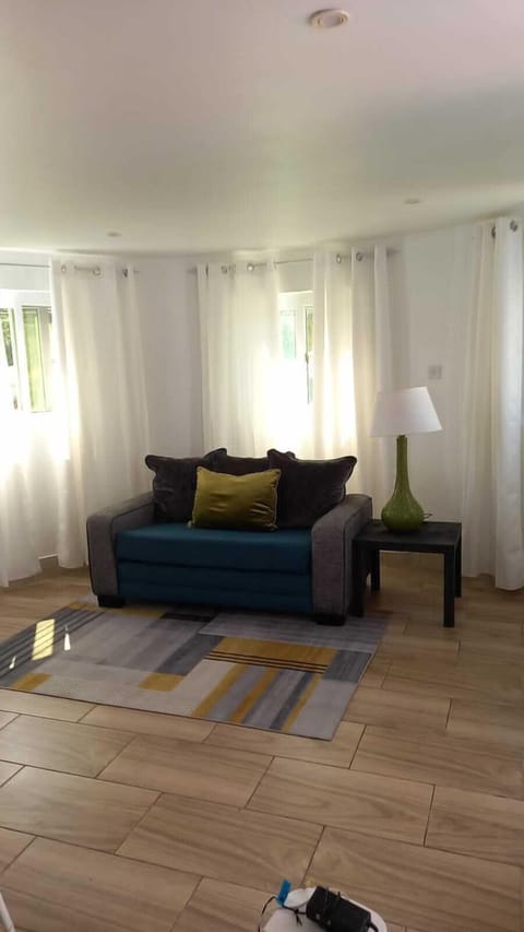Basic Single Room | Living area