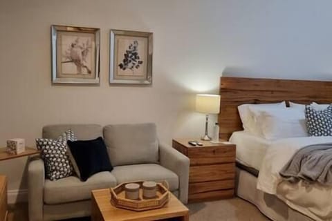 The living space with a lap top trolley for "work from home"
