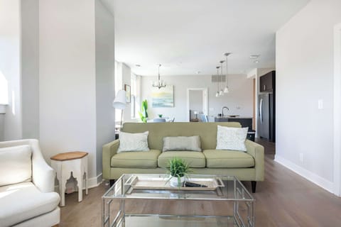 Modern living room
