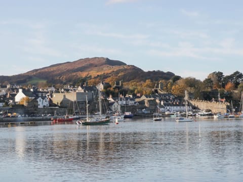 Cottage | Marina