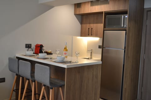 Elegant Suite | Private kitchen | Full-size fridge, microwave, espresso maker, electric kettle
