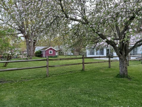side view of back yard and back of house