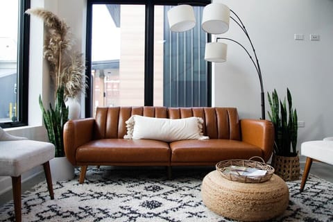 Living Room (sofa doubles as a futon)