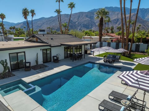 Welcome to Alluring Palms