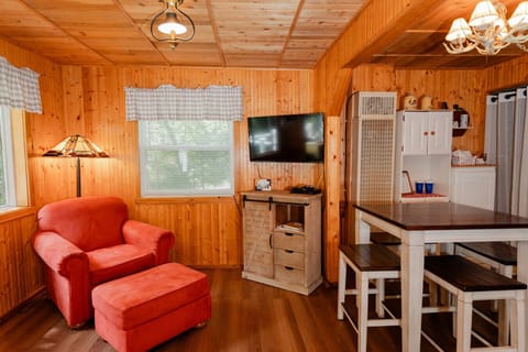 TV with DVD and Games for Kids