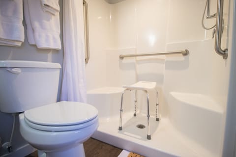 ash20bath20shower