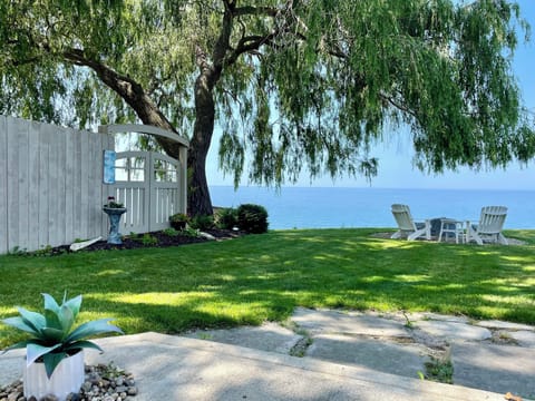 Sit under the weeping willow and enjoy the view!