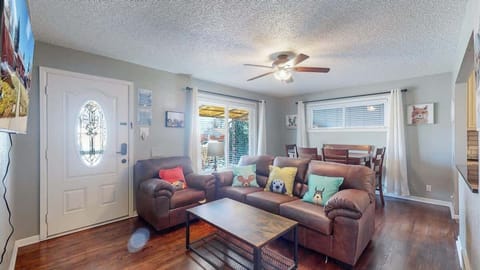 Dog-themed living room