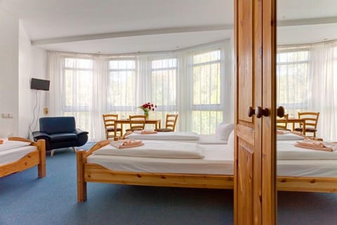 Hypo-allergenic bedding, desk, blackout drapes, soundproofing