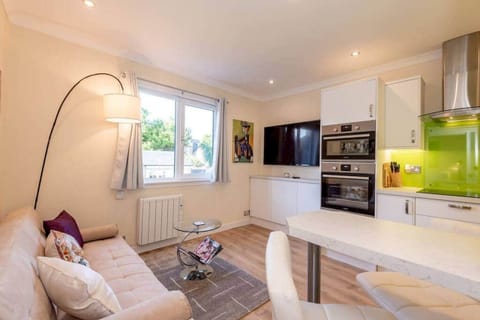Open plan kitchen and living area with sofa bed