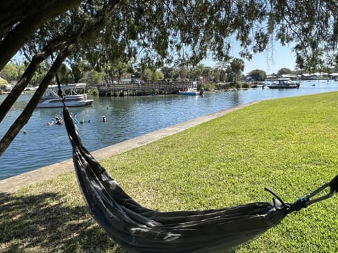 Chill under the tree