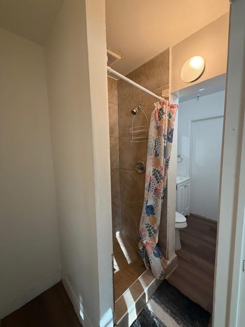 Family Suite | Bathroom | Shower, rainfall showerhead, free toiletries, towels