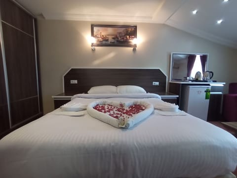 Deluxe Double Room | Minibar, desk, laptop workspace, free WiFi