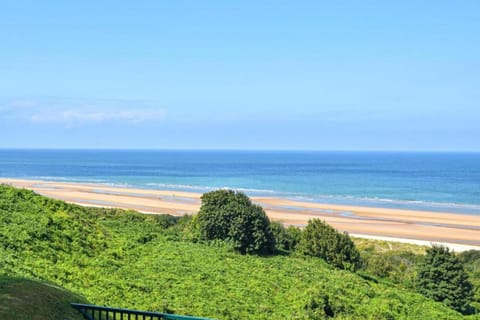 Region [summer] (>5 km)