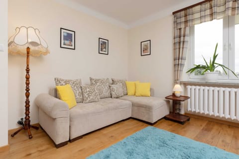 A spacious living room doubling as a bedroom, featuring a beige sofa adorned with yellow cushions. 