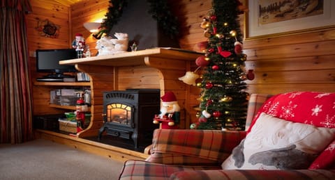 Twa Hoots Lodge gas fireplace with Christmas decorations