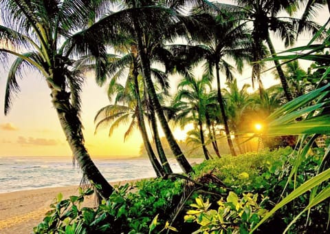 Gorgeous nearby beach with swaying palms and white sands - perfect bliss!