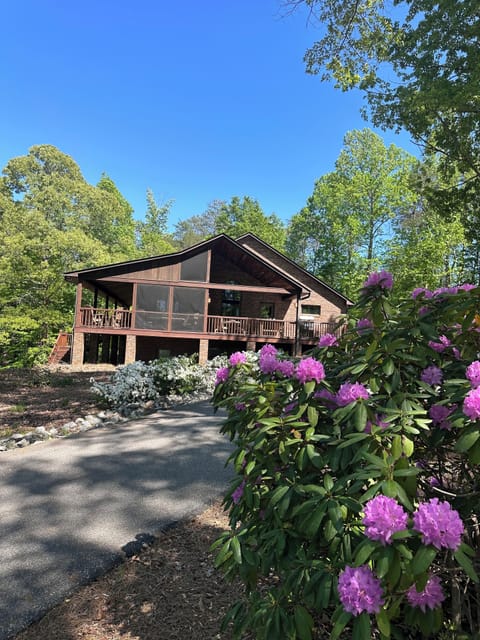 Picture of House