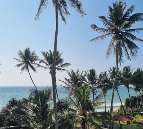Family Room, Balcony, Ocean View | View from room