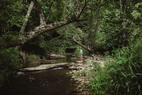Peaceful creek running through the property