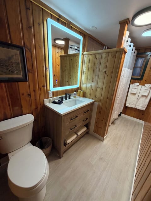 Combined shower/tub, free toiletries, hair dryer, towels