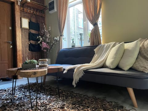 Basic Apartment | Living area