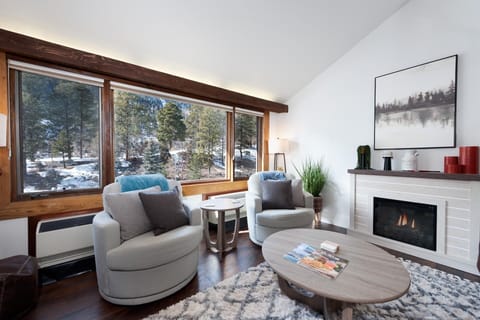 Living Room - Indoor Fireplace