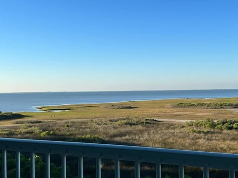 Amazing Views from Dawn On the Bay