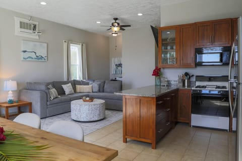 Mainhouse Living space