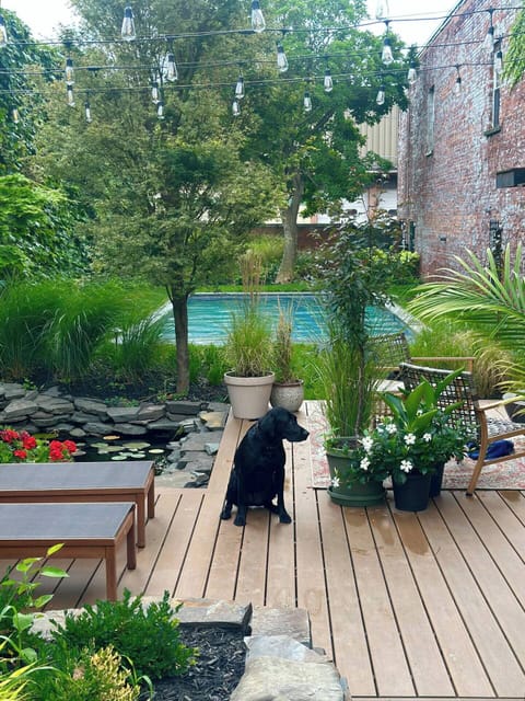 Guests may enjoy access to the pool for an additional fee of $175 per day, available for use between 11:00 AM and 7:00 PM. To arrange pool access, please contact us directly to process the payment prior to your stay. We’re happy to assist with any qu