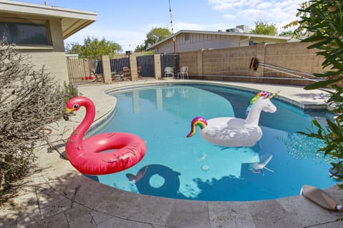 Swimming pool with pink flamingo and white unicorn inflatables