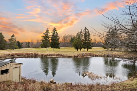 Overlooking the serene lake.