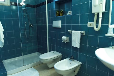 Shower, hair dryer, slippers, bidet