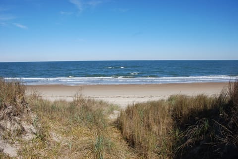 Condo, 1 Bedroom | Beach | On the beach