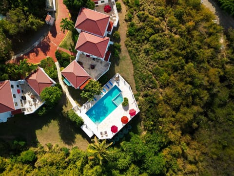 Secluded poolside retreat surrounded by lush greenery