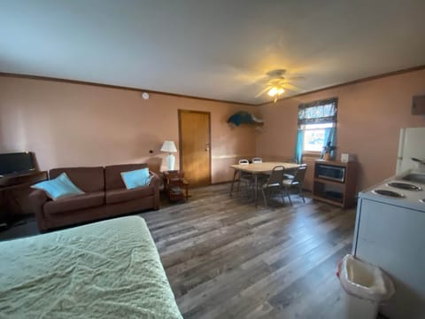 Cabin 8 - interior 4