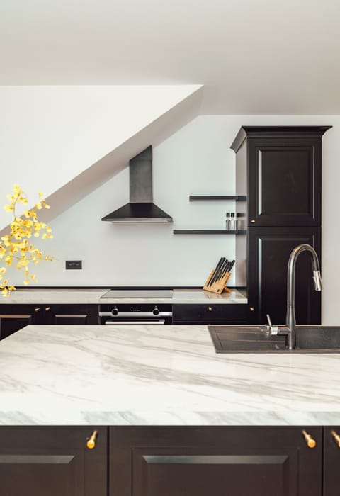 Deluxe Penthouse | Private kitchen | Full-size fridge, microwave, oven, stovetop