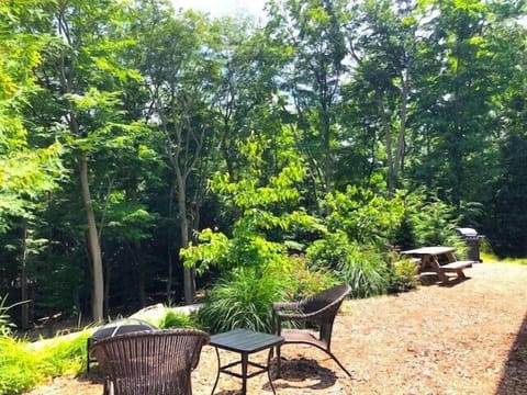 Sitting and Picnic Area - Sitting and Picnic Area in Front of Cabin