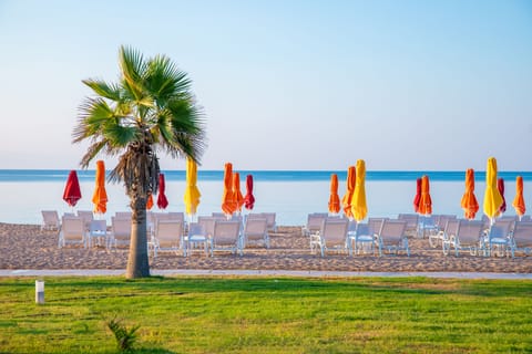 On the beach, sun loungers, beach umbrellas, beach bar