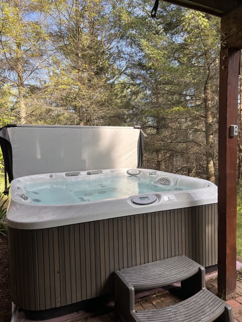 Jacuzzi Hot Tub