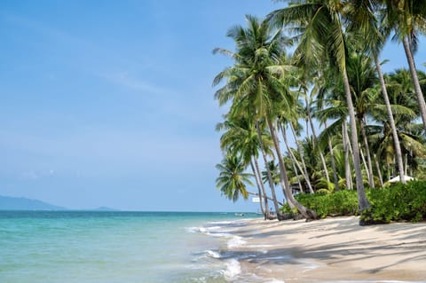 Private beach, white sand, beach umbrellas, beach towels