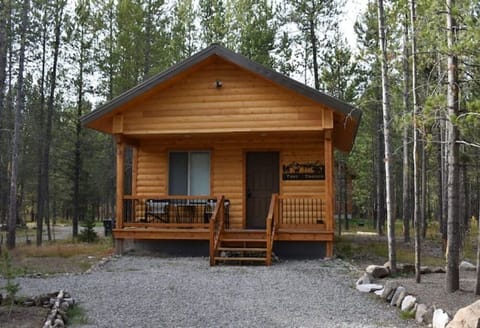 Welcome to the Tiny Timber!
