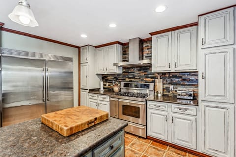 High-end commercial stainless steel appliances