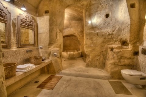 Suite (1004) | Bathroom | Shower, free toiletries, hair dryer, towels