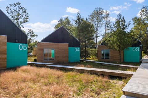 Cabin 4
