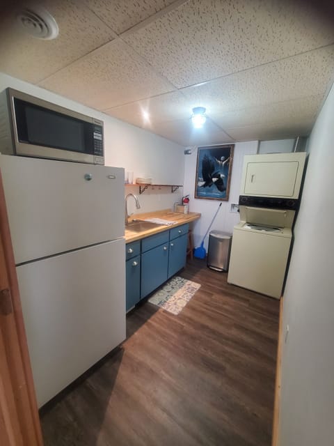 Downstairs kitchen and laundry