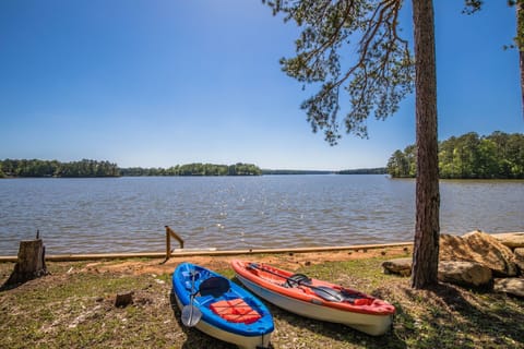 Take kayaks and go exploring