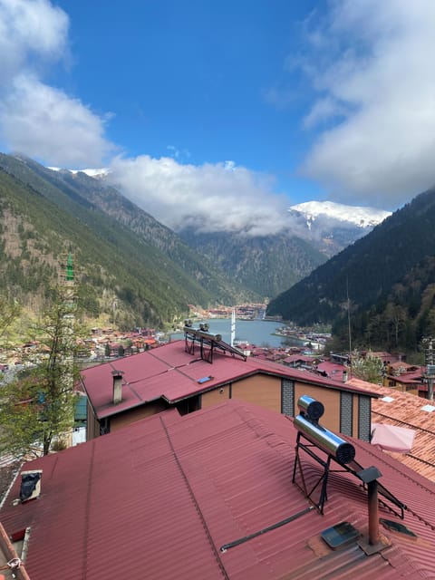 Lake view
