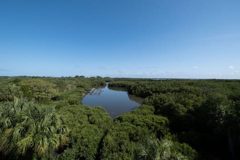 Incredible Nature and Water Views from Your Balcony!