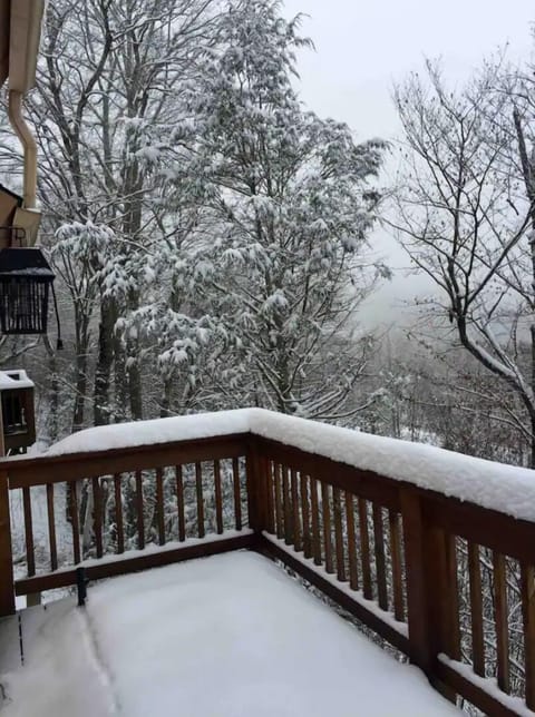 Enjoy the Winter land views through the trees